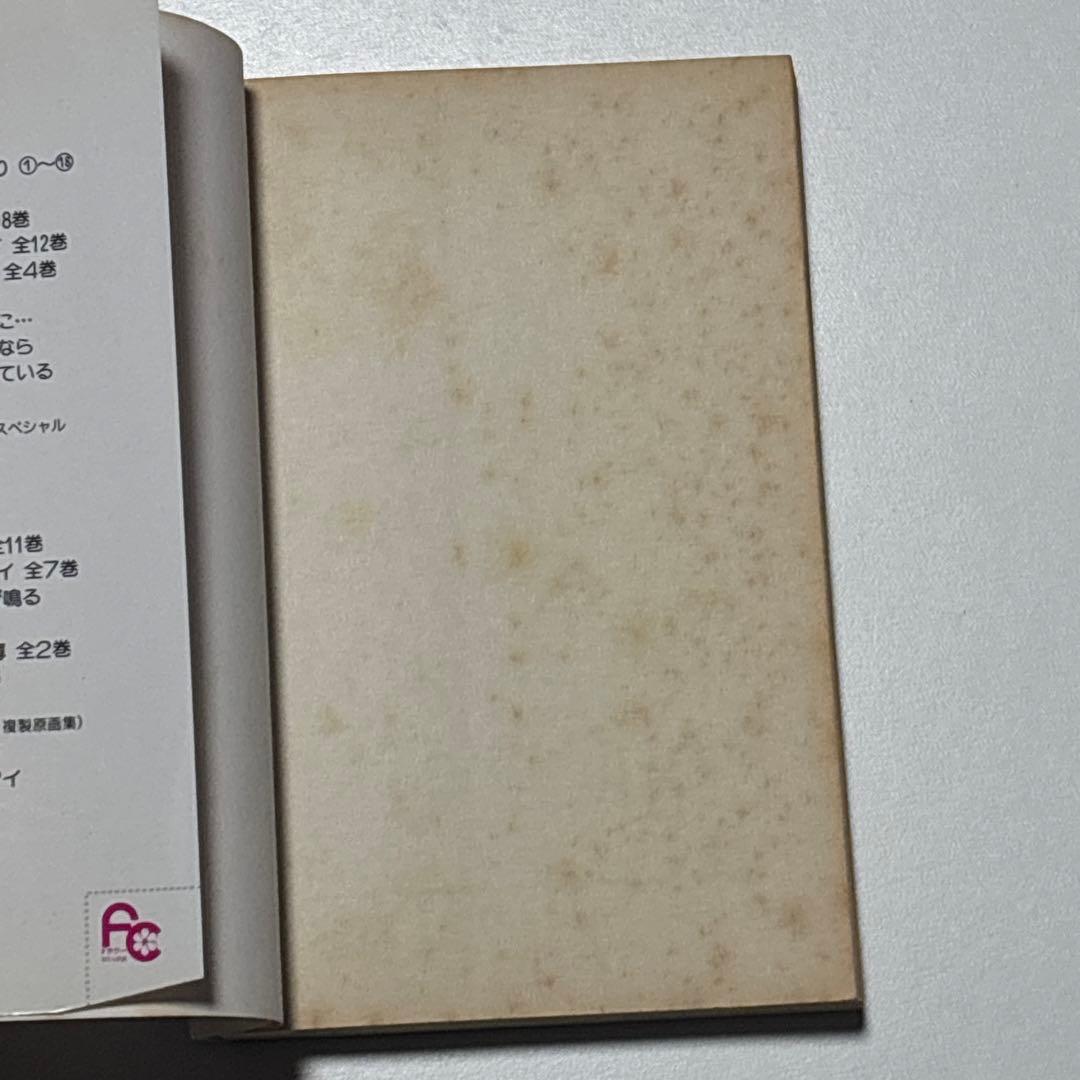 天は赤い河のほとり 天は赤い川のほとり 篠原千絵 全巻セット 全28巻＋関連本