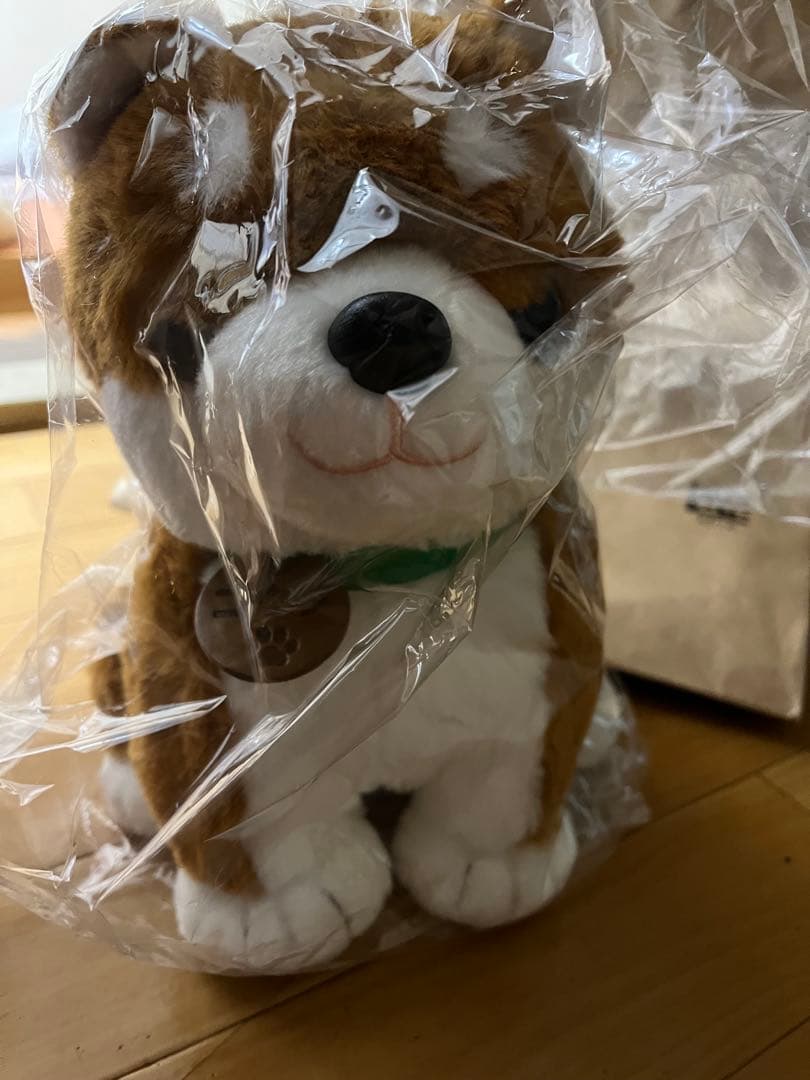 ♪おしゃべりも歌も唄える♪ しばいぬ☆コウタ☆