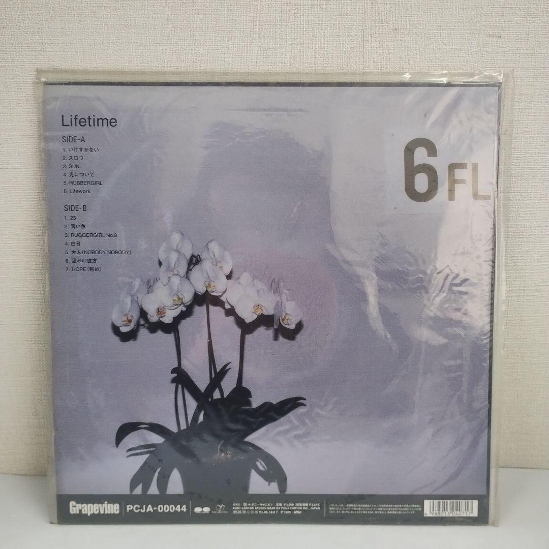 グレイプバイン GRAPEVINE Lifetime レコード アナログ