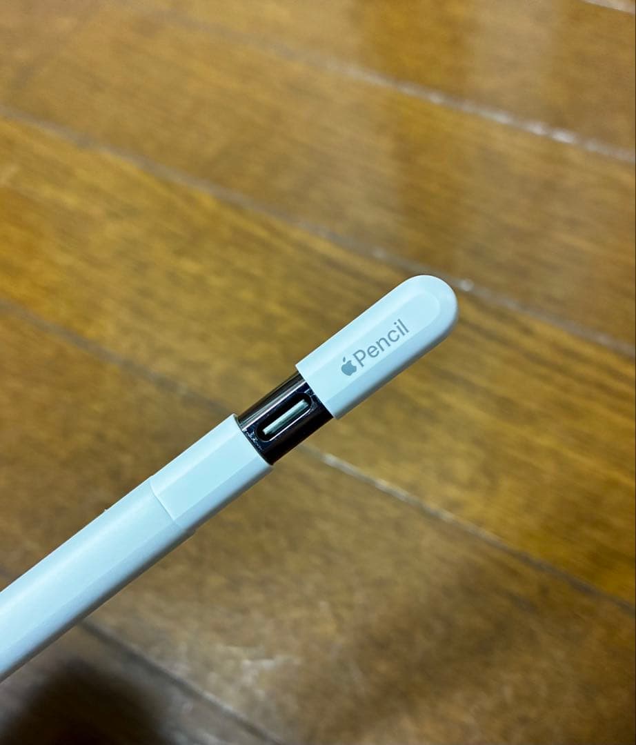 Apple Pencil (USB-C) 箱・付属品完備　新品同様