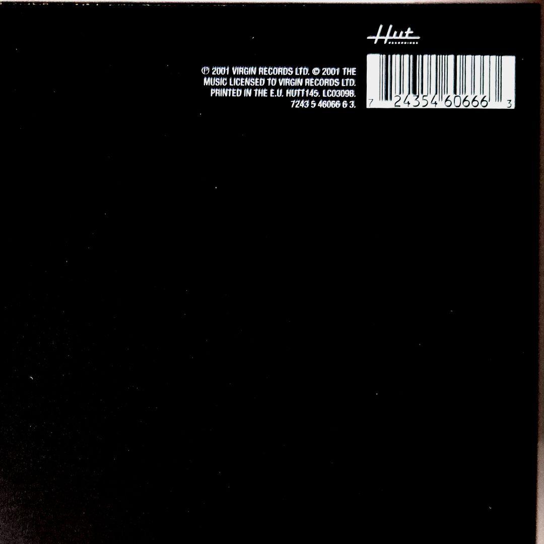 The Music　You Might As Well　レコード　12インチ
