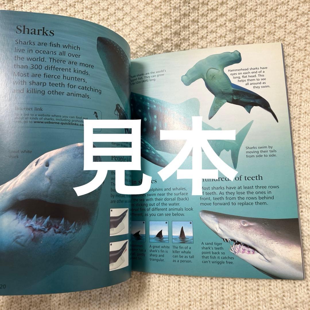 英語　事典　本