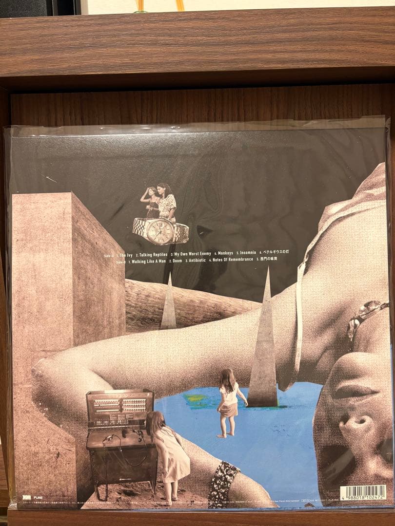 新品　the HIATUS ANOMALY 完全限定盤レコード