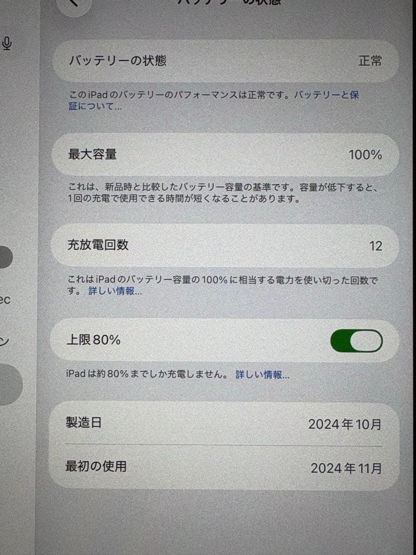 iPad mini （A17 Pro） 512GB スペースグレイ　おまけあり