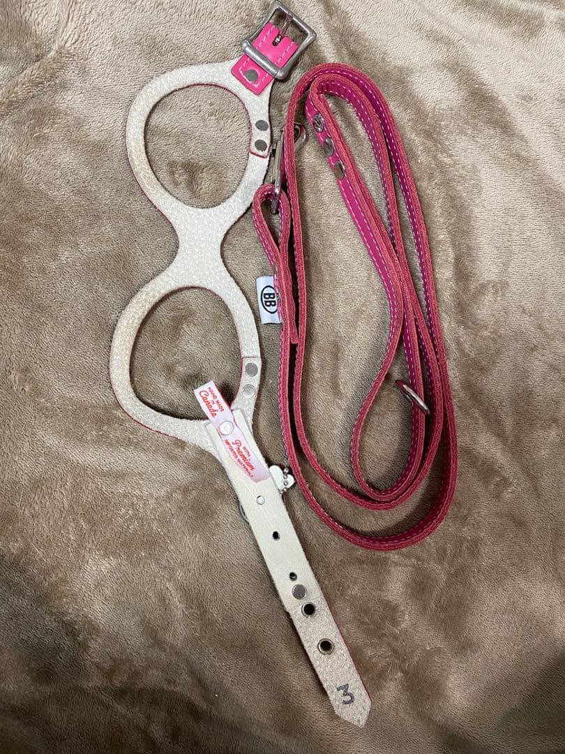 BBベルト ハーネス&リード セット サイズ3