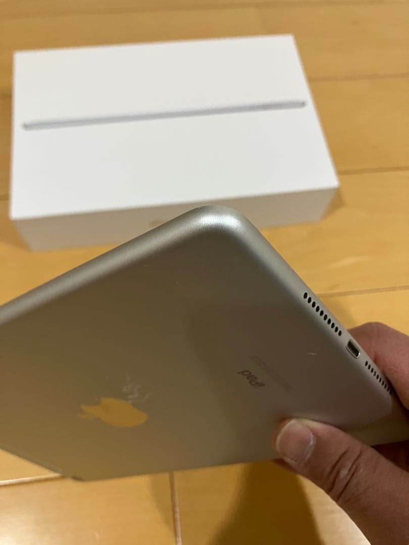 Apple iPad mini 5世代 Cellular 256GB