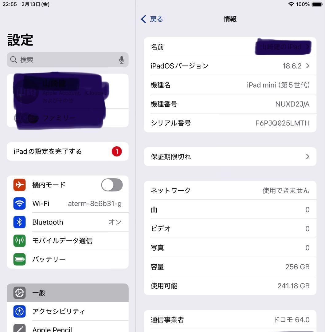 Apple iPad mini 5世代 Cellular 256GB