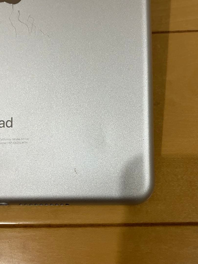 Apple iPad mini 5世代 Cellular 256GB