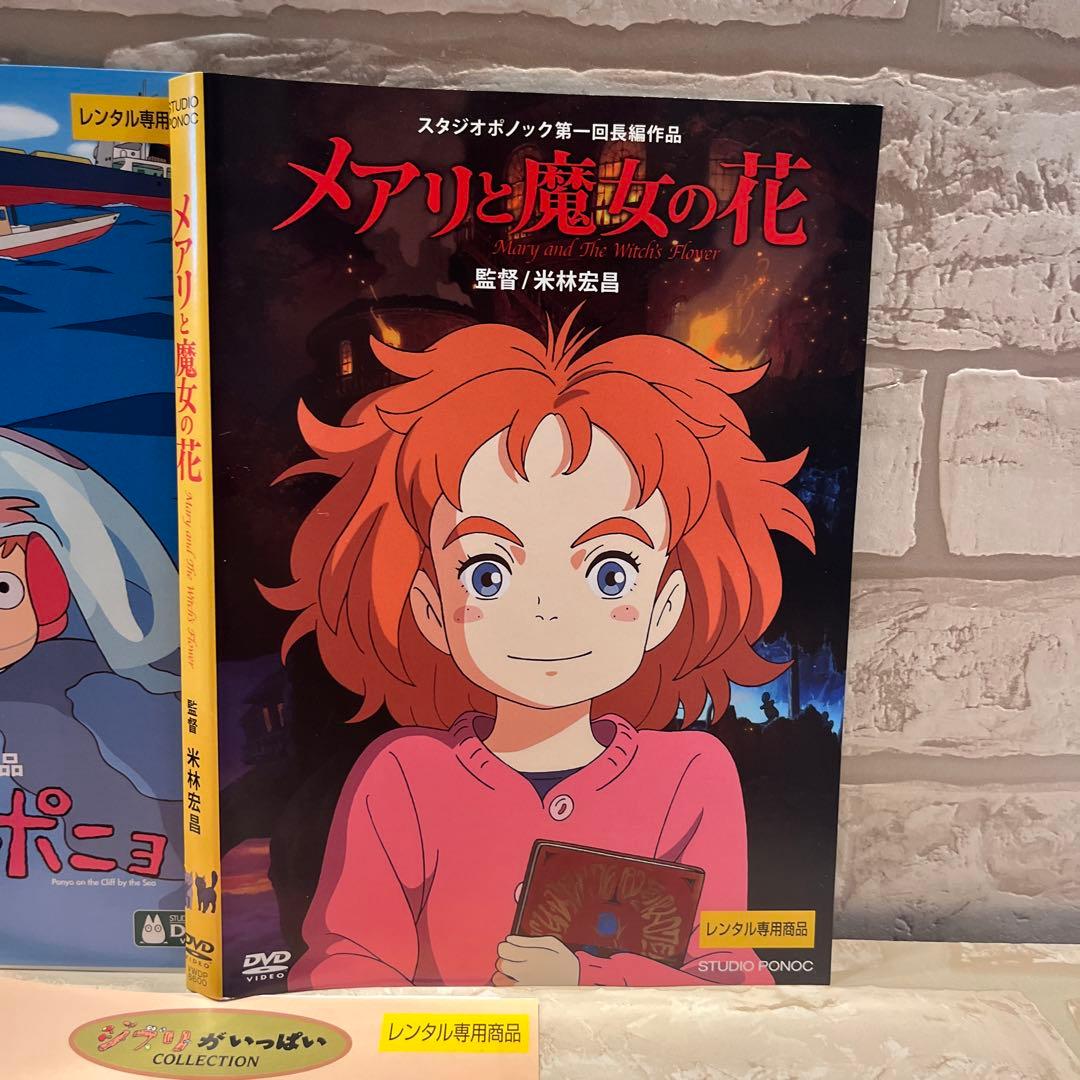 ジブリ　DVD 5本セット　③ となりのトトロ