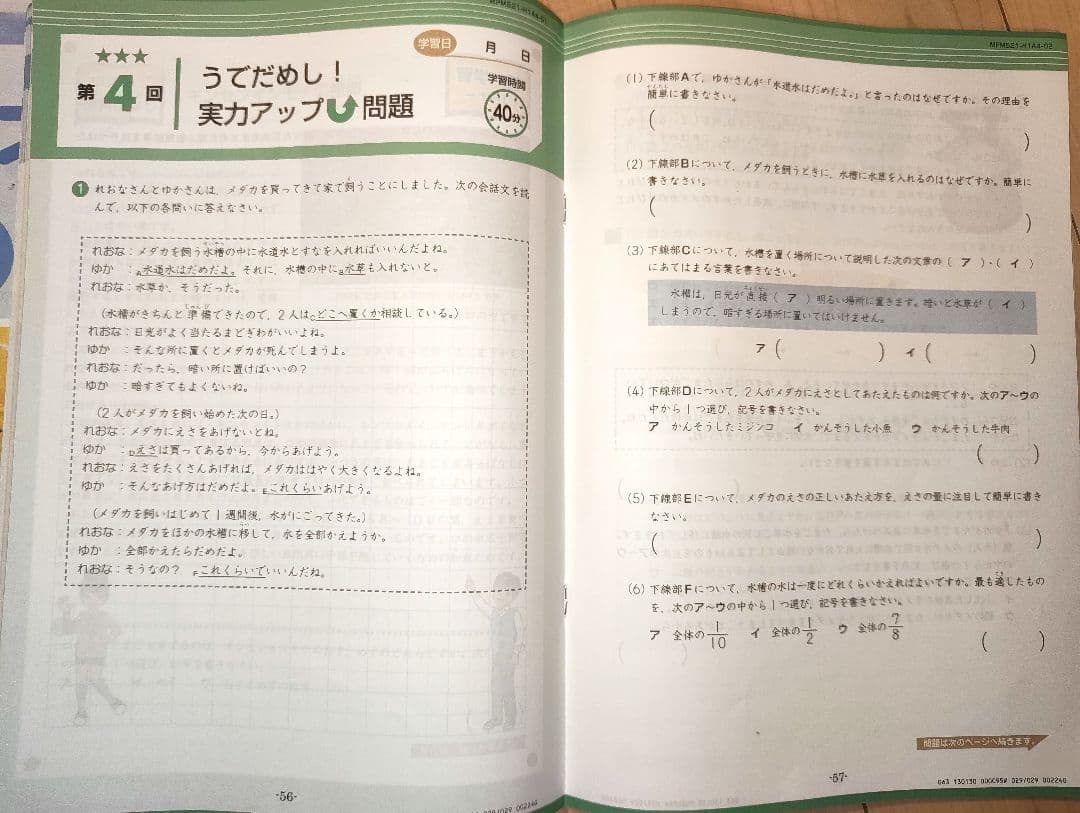 Z会 エブリスタディ 小5 1年分 4教科 ハイレベル 2023年度＋おまけ