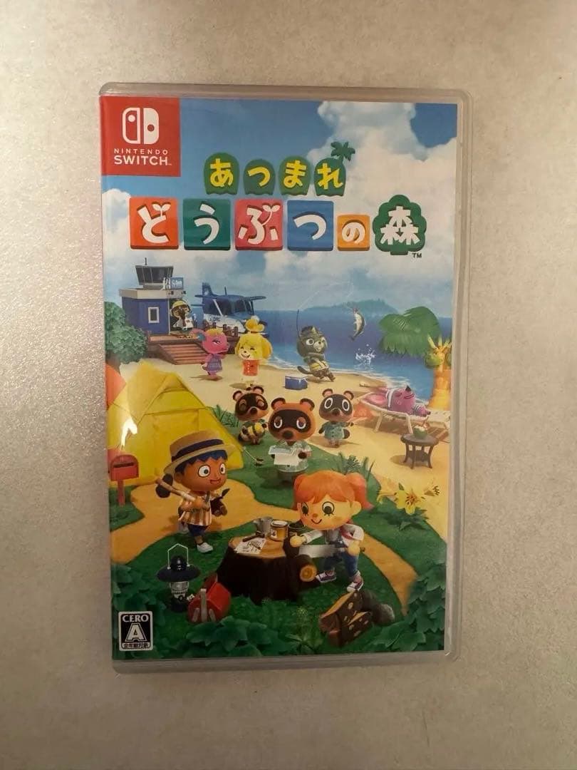 Nintendo Switch 本体 グレー　※ソフト付き