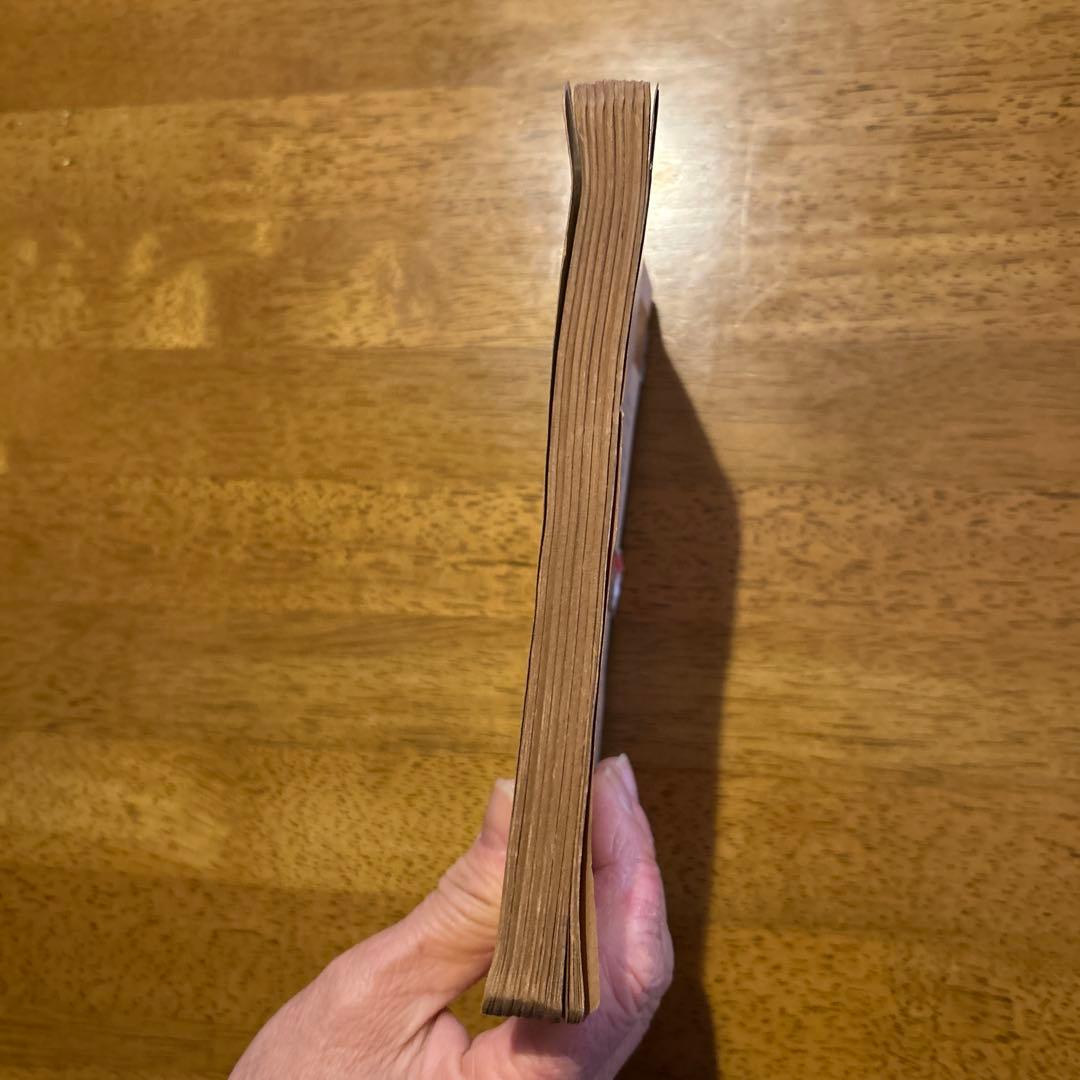 洋書 MANUEL PRATIQUE DE MISE AU POINT