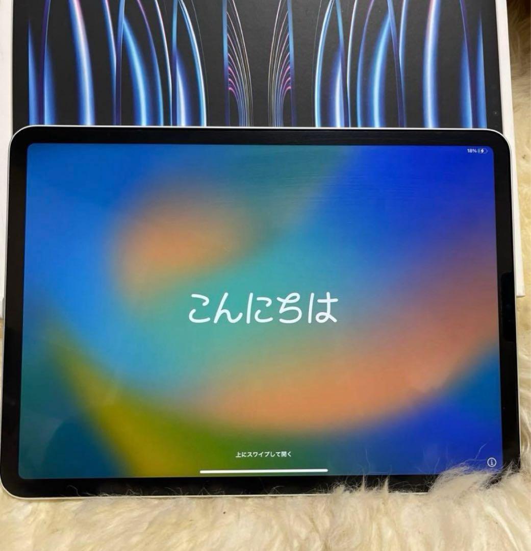 美品 Apple iPad Pro 第4世代11インチ 256GB Wi-Fi