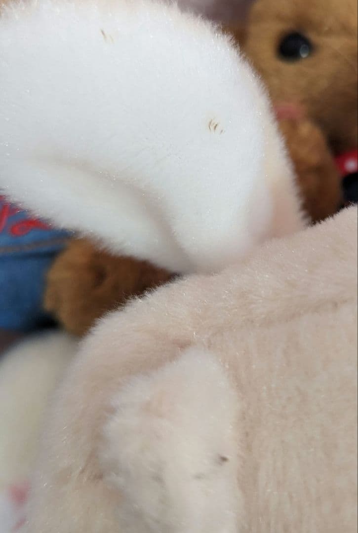ぽてうさろっぴー　ぬいぐるみ　まとめ売り　36匹