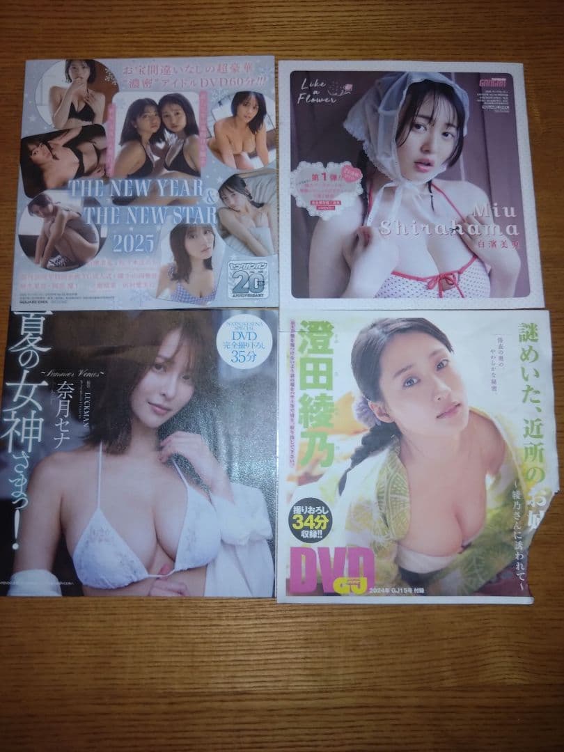 ヤングチャンピオン ヤングアニマル等 雑誌付録 DVD セット 計27枚