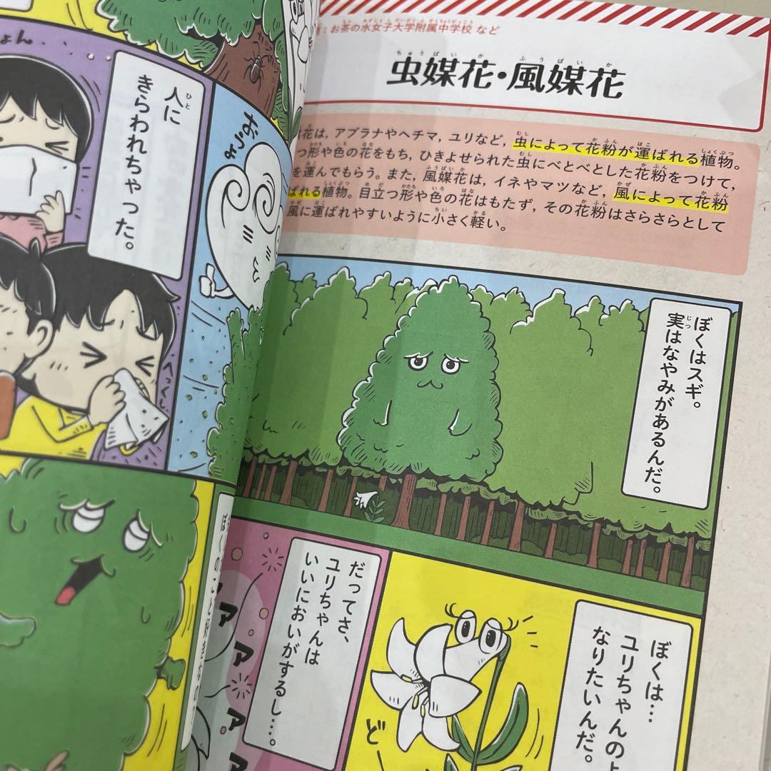 マンガでわかる!中学入試に役立つ教養 1-6