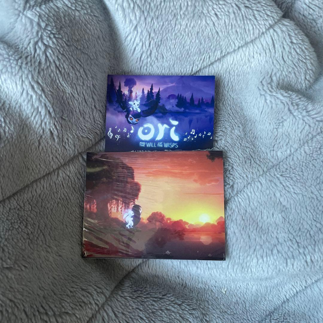 Ori and the Will of the Wisps switch版