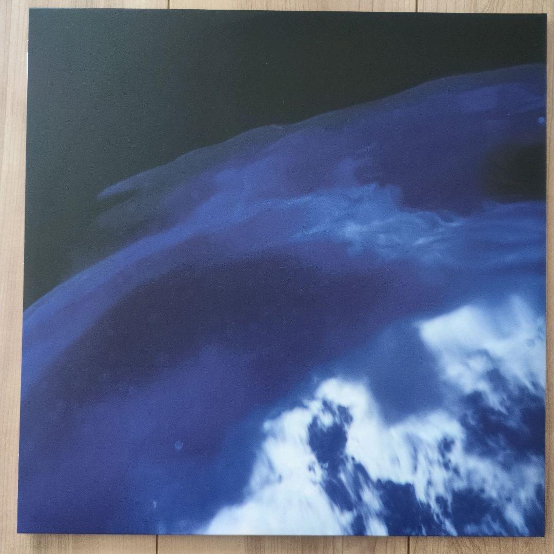 踊ってばかりの国 私は月には行かないだろう レコード LP