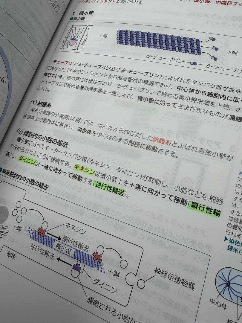第111回薬剤師国家試験対策参考書（改訂第15版）　青本のみ