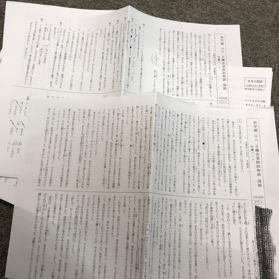 浜学園　小6 灘コース　日曜志望校別特訓　復習テスト　国算理　2021/9～12