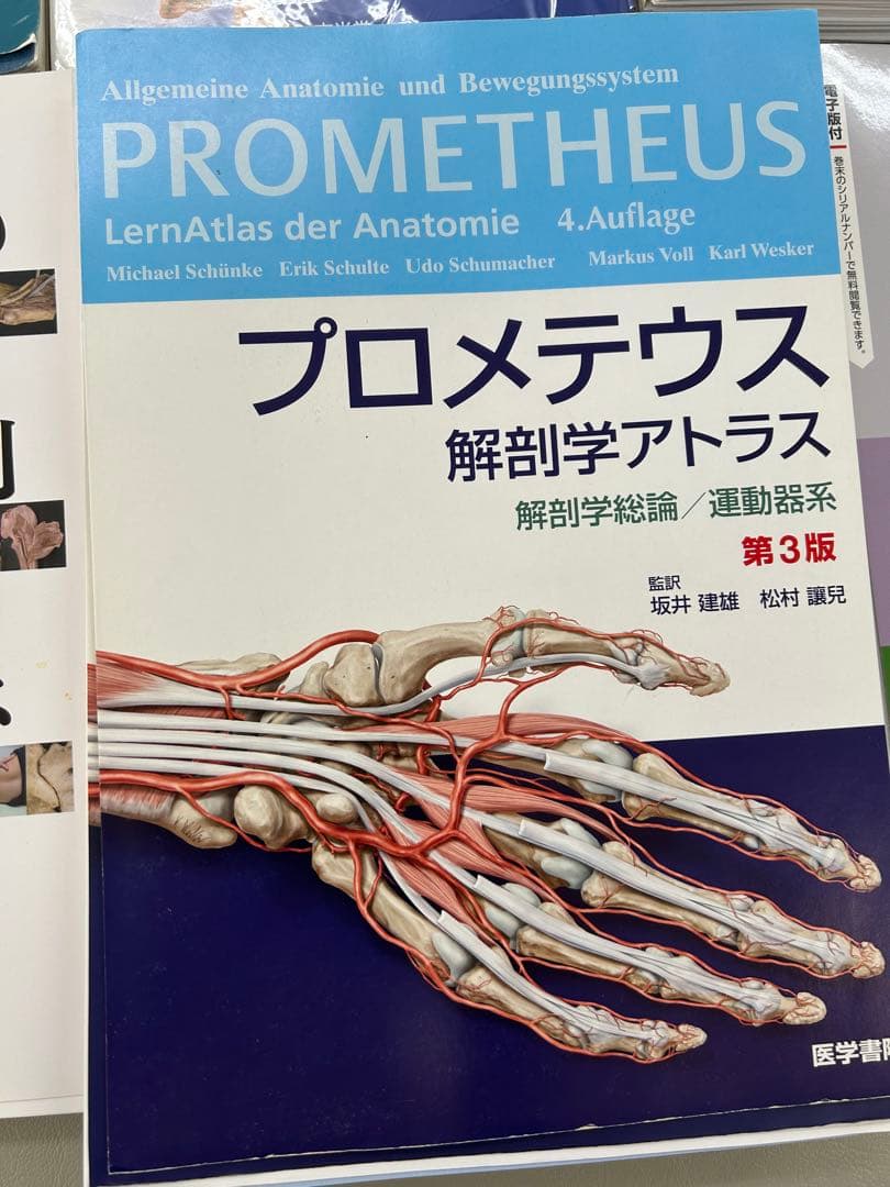 裁断済み　解剖学・エコー・リハビリ　専門書まとめ売り