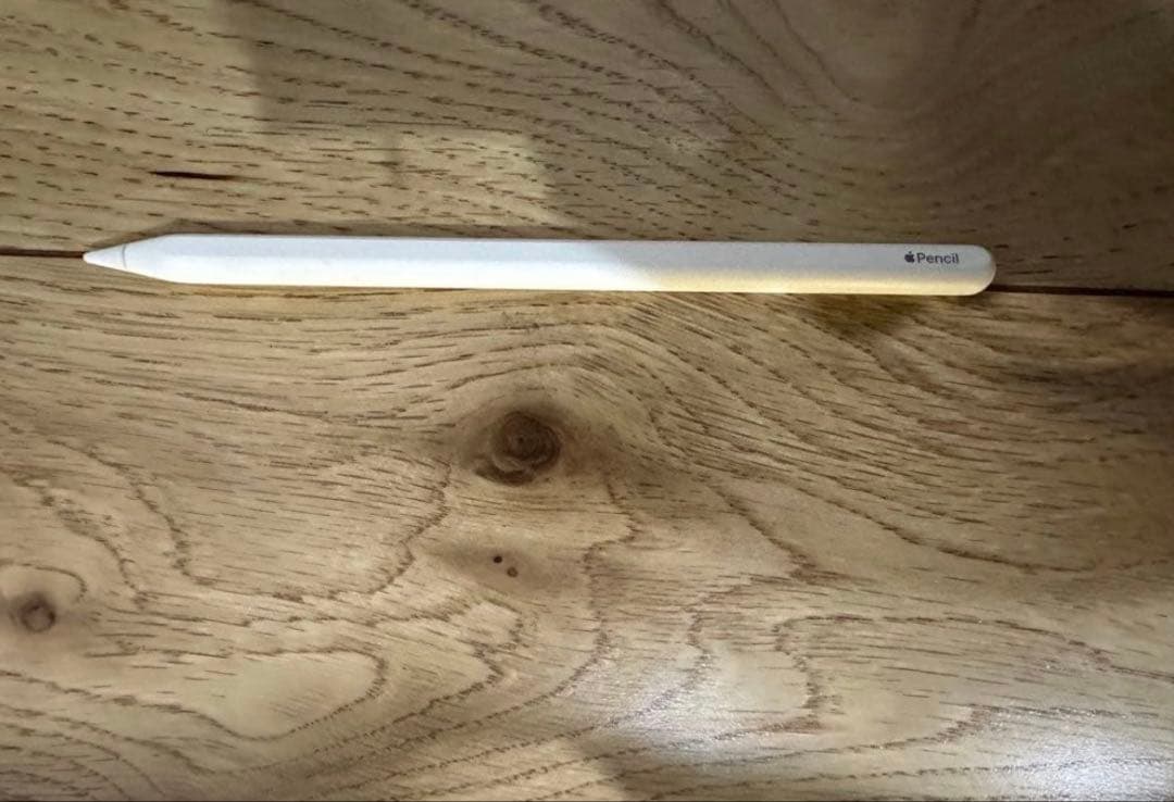 iPad Pro第1世代 11インチ(512gb)Apple Pencil(2)