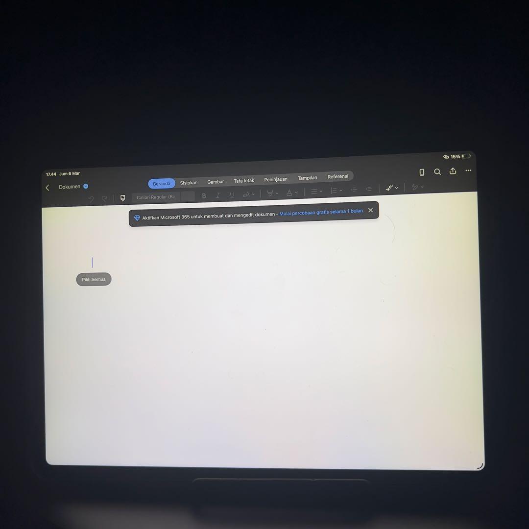 iPad Pro第1世代 11インチ(512gb)Apple Pencil(2)