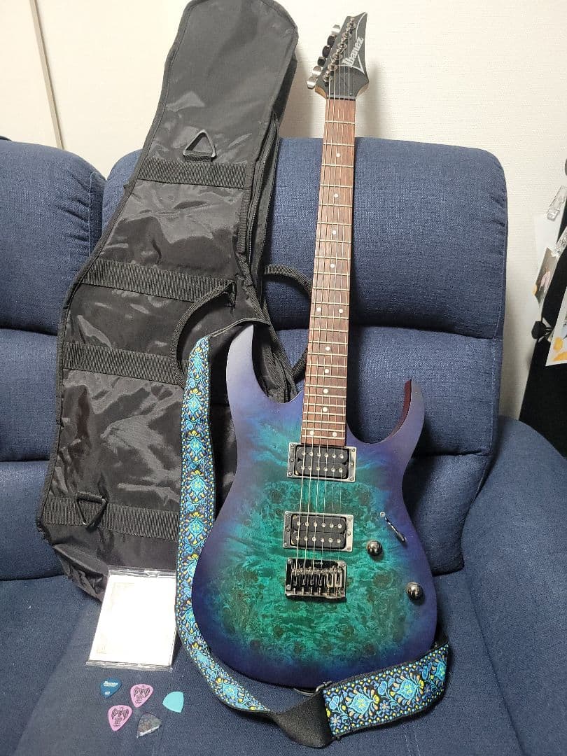 アイバニーズ Ibanez RG421PB　動作品　おまけ盛り沢山