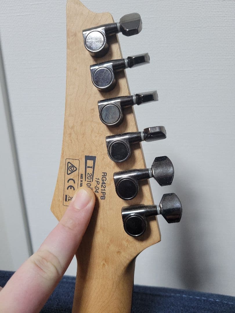 アイバニーズ Ibanez RG421PB　動作品　おまけ盛り沢山