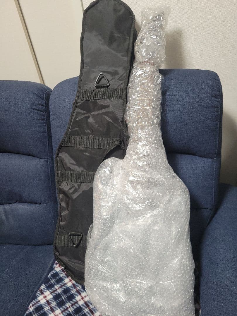 アイバニーズ Ibanez RG421PB　動作品　おまけ盛り沢山