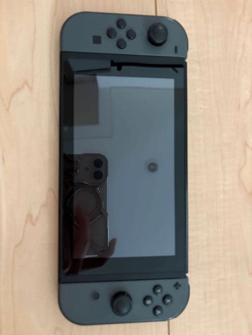 Nintendo Switch グレー 本体（値下げ交渉⭕️）