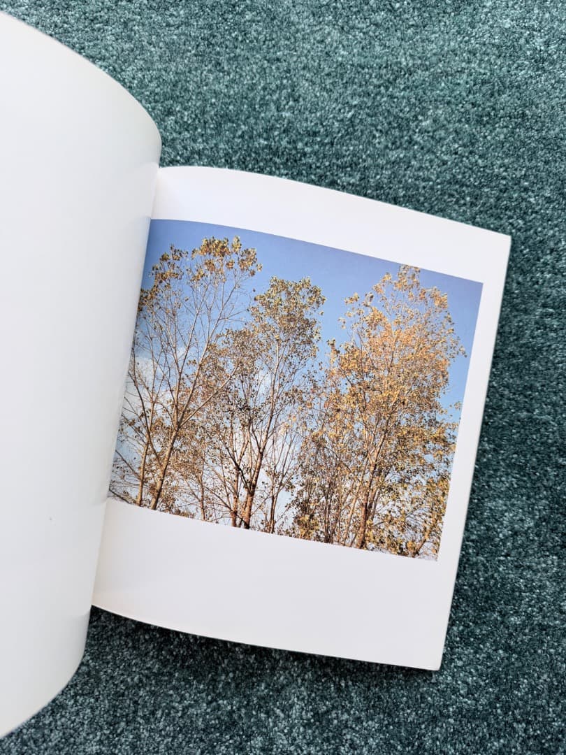 ROAD MOVIE　高橋恭司 写真集