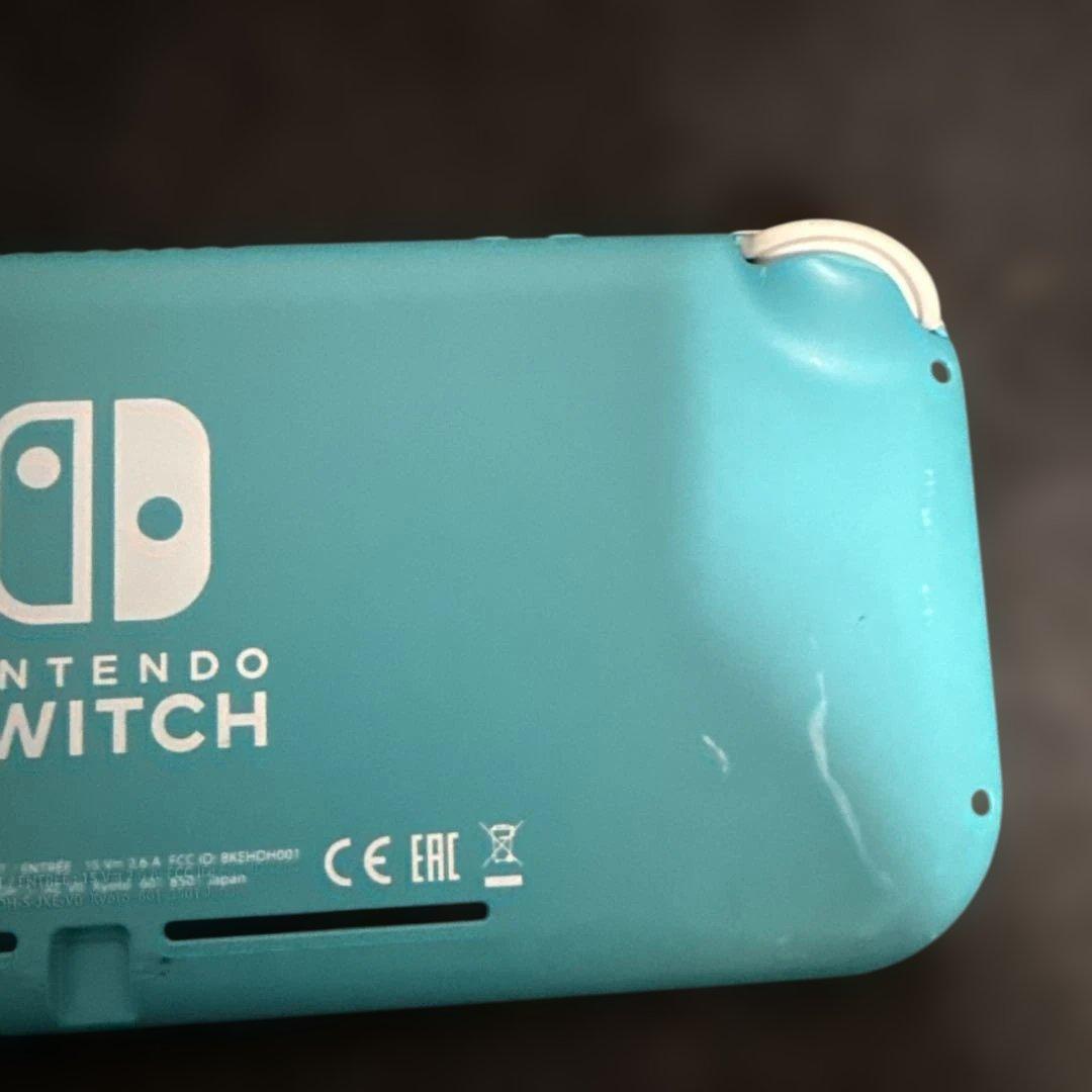Switchライト　本体　ジャンク品