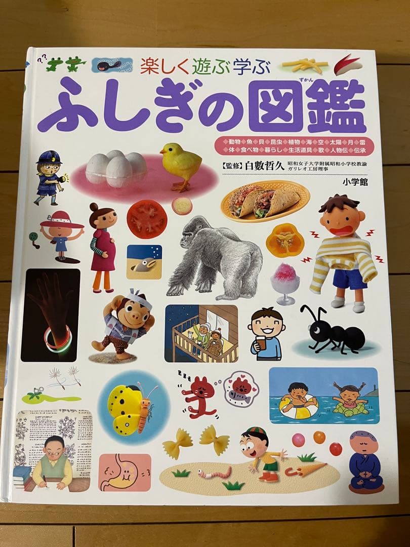 小学館の図鑑NEO　DVD付　くらべる図鑑　ふしぎの図鑑　9冊セット