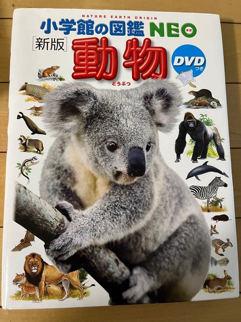 小学館の図鑑NEO　DVD付　くらべる図鑑　ふしぎの図鑑　9冊セット