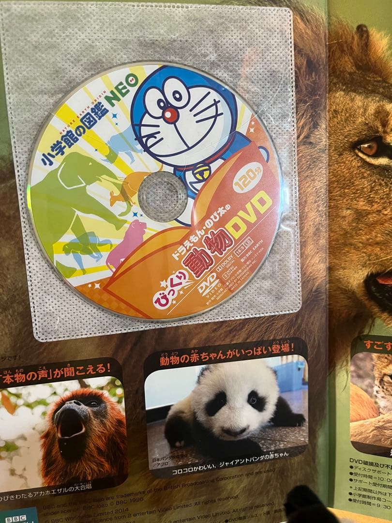 小学館の図鑑NEO　DVD付　くらべる図鑑　ふしぎの図鑑　9冊セット