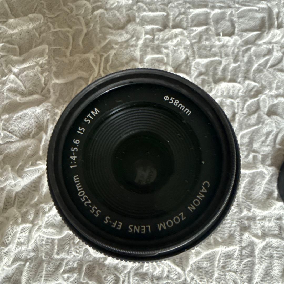 Canon EFS 55-250mm ズームレンズ