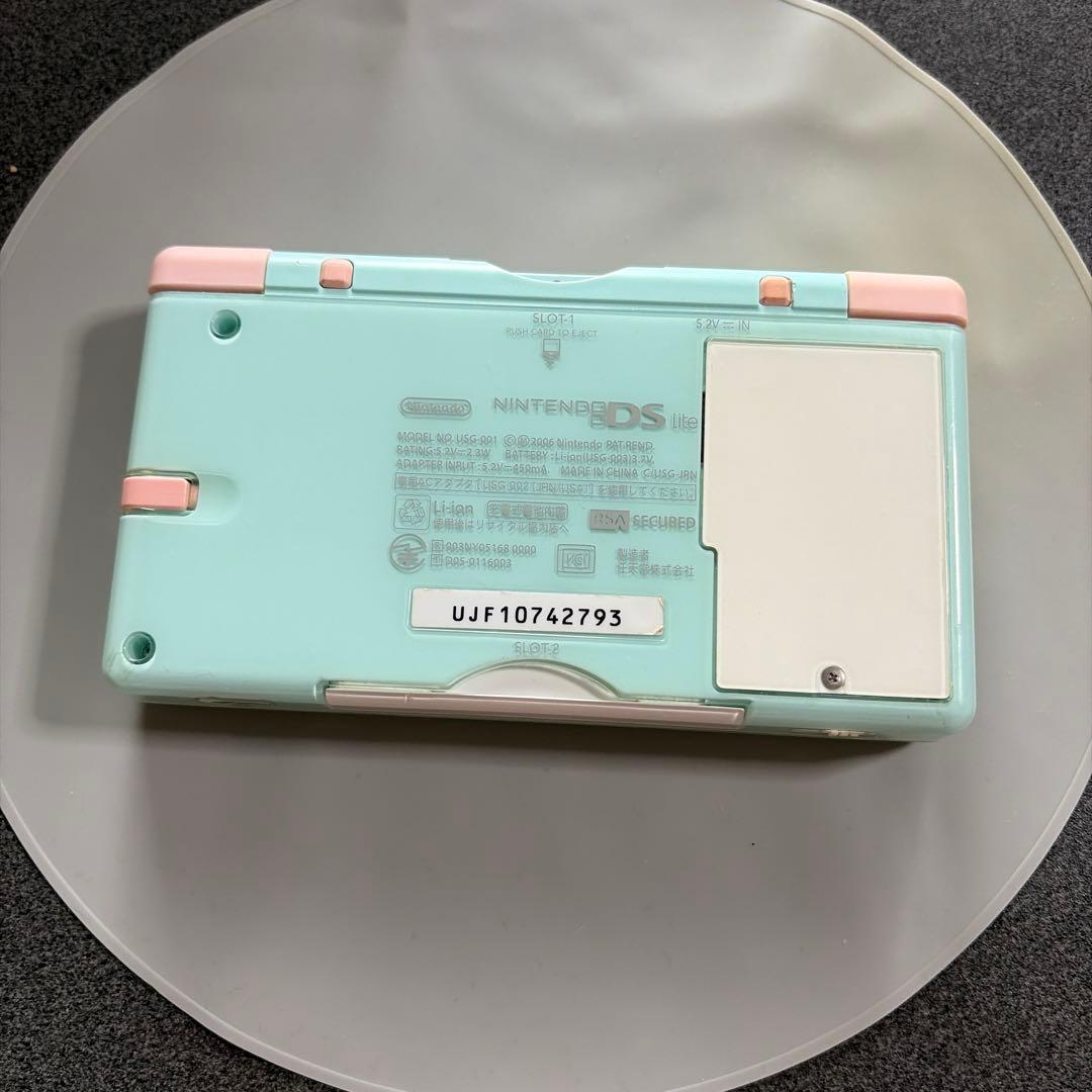任天堂DSライト ds lite カスタムシェル オリジナル㉟