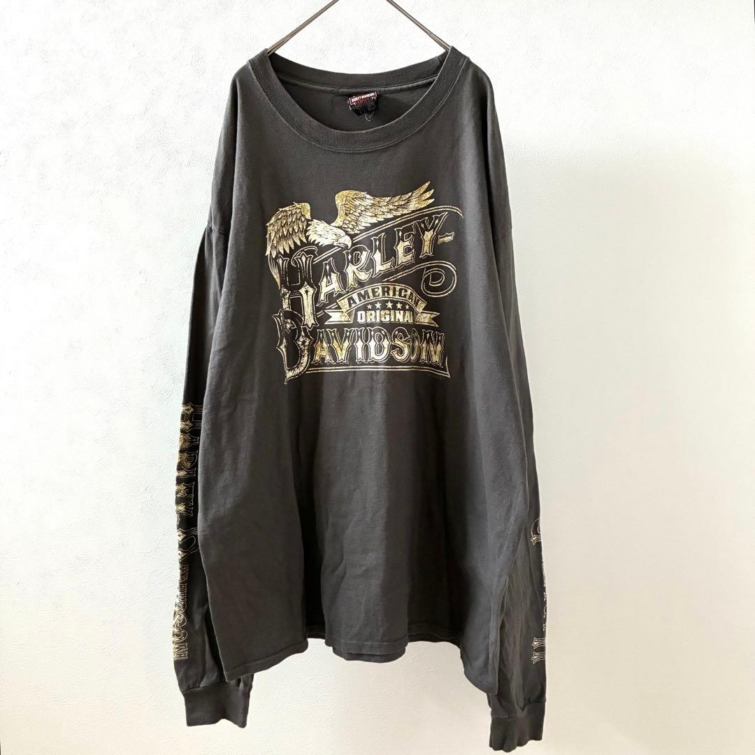 Harley-Davidson Tシャツ 長袖 鷲 袖プリント ロンT 大きめ