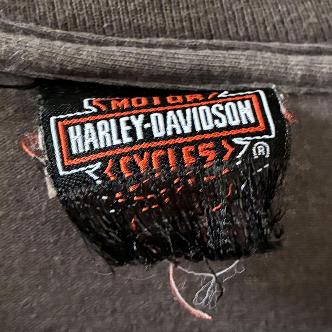 Harley-Davidson Tシャツ 長袖 鷲 袖プリント ロンT 大きめ