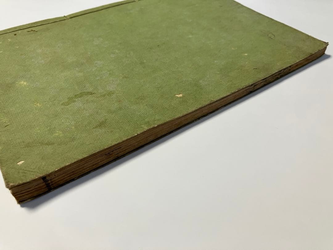 古書　全体新論図　体の構造を描いた本　安政4年　1857年刊