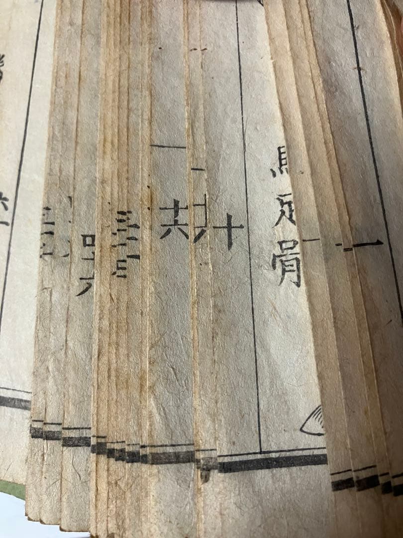 古書　全体新論図　体の構造を描いた本　安政4年　1857年刊