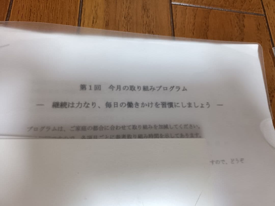 「楽しい育児クラブ」ドッツカード・フラッシュカード（浜学園に入る前に使用）