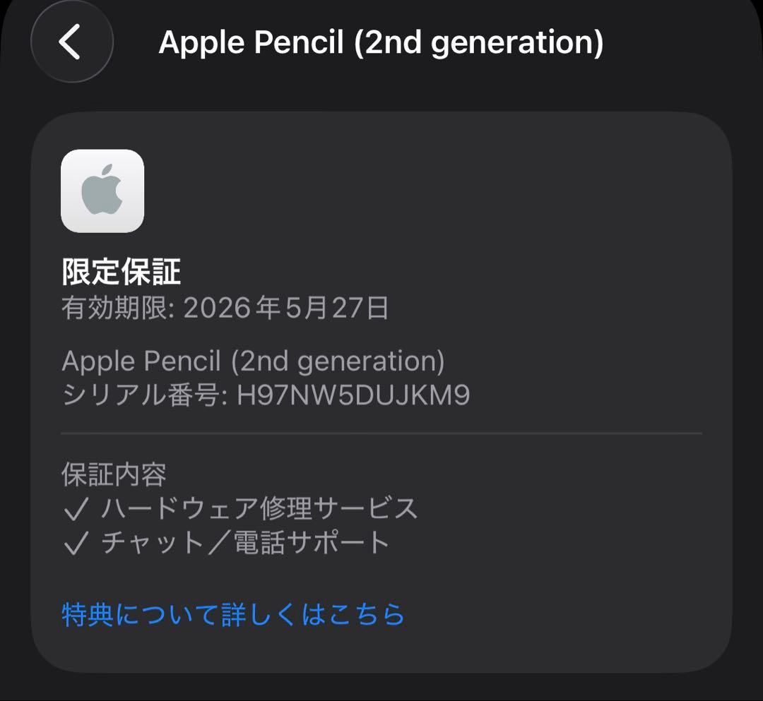 未使用に近い　Apple保証付　2025年5月購入　Apple Pencil 2