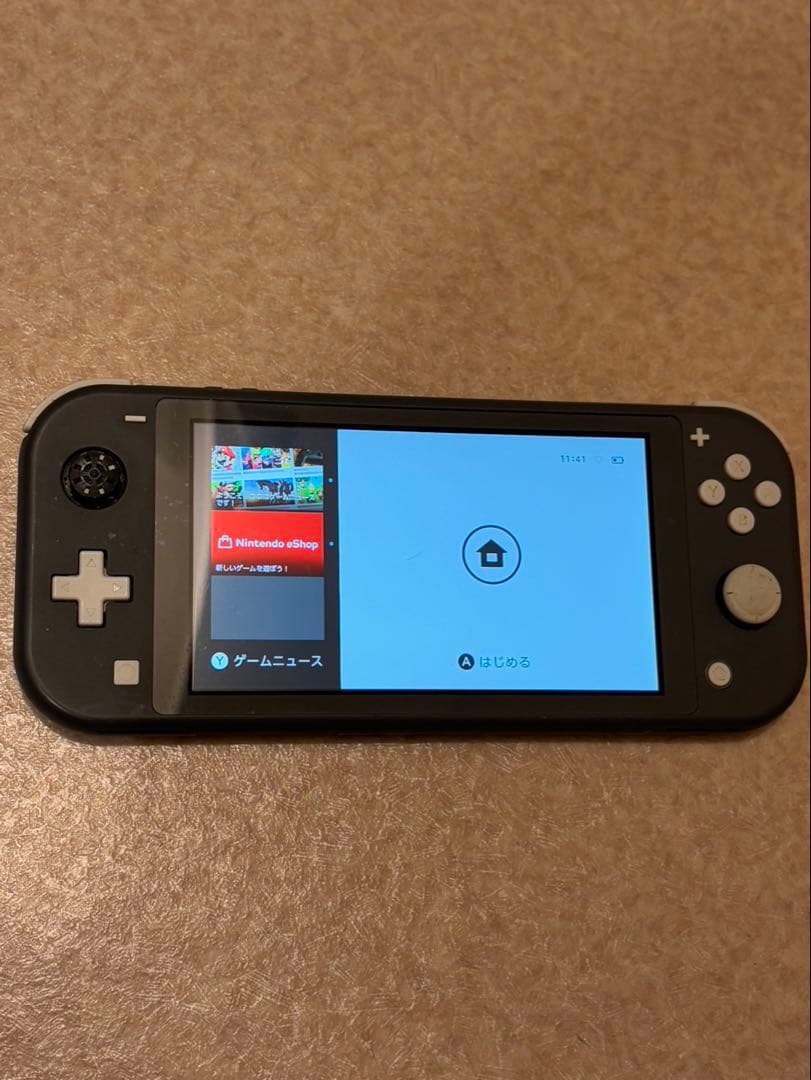 Nintendo Switch Lite グレー 本体 通電確認済み 動作未確認