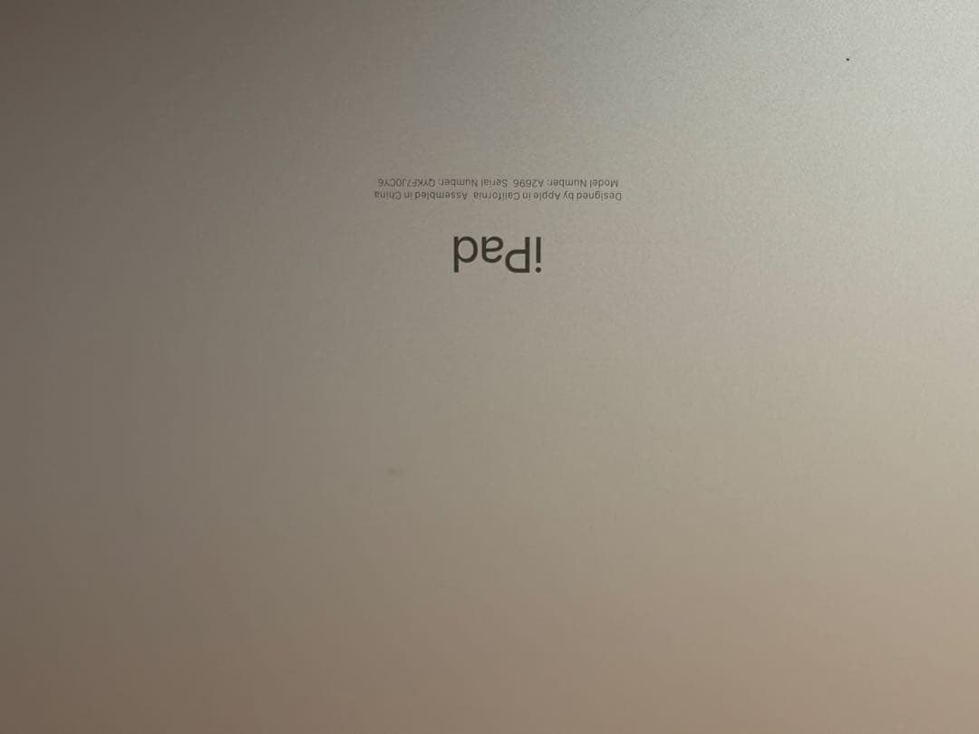 Apple iPad 10.9インチ シルバー 本体 256GB