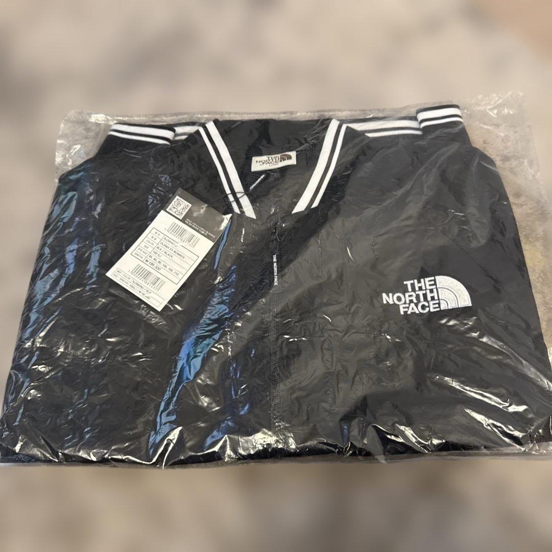 韓国限定 THE NORTH FACE オレマEX ボンバージャケット L