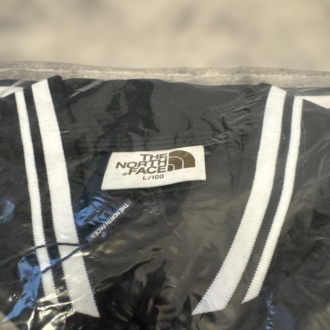 韓国限定 THE NORTH FACE オレマEX ボンバージャケット L