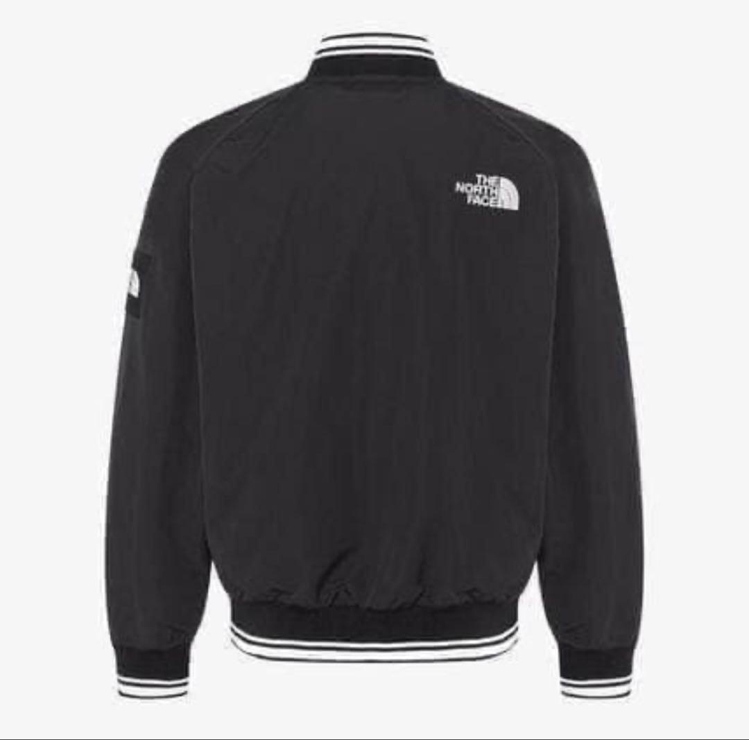 韓国限定 THE NORTH FACE オレマEX ボンバージャケット L