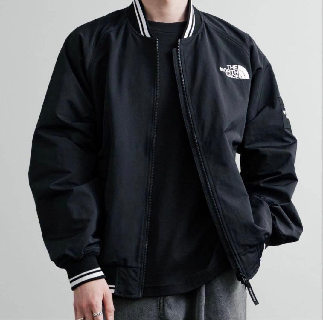 韓国限定 THE NORTH FACE オレマEX ボンバージャケット L